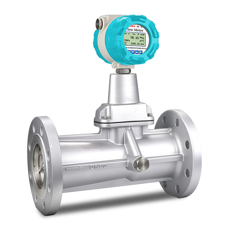 Precession Vortex Flow Meter